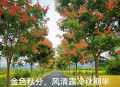 手机随拍23