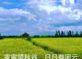 手机随拍7
