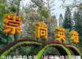 手机随拍30（出师）
