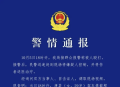 女子驾车撞伤狗，同行友人遭两男子殴打！湖北警方通报：2人被行拘