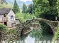 手机随拍11